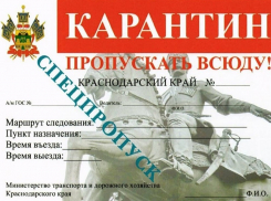 Анапчанина осудили за использование поддельного пропуска «Карантин»