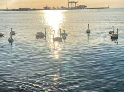 В Международный день музеев в Анапе возможен небольшой дождь