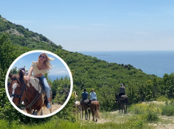 В Анапе восьмое чудо света – лошади