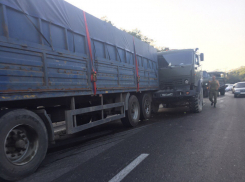 На трассе «Новороссийск — Анапа»  столкнулись военные «КАМАЗы»