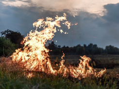 В Анапе запретили разводить костры в лесах и парках