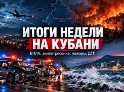 БПЛА, землетрясение, пожары и смертельные ДТП: чем запомнилась неделя на Кубани