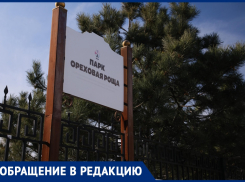 «Помогите привести парк в нормальное состояние»: анапчанка об «Ореховой роще» в Анапе 