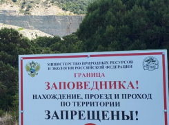 Школьников не пустили на экскурсию в заповедник «Утриш» под Анапой