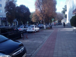 Анапские водители в упор не видят парковочных мест?