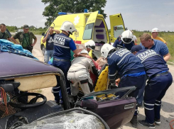 Недалеко от Анапы водителя в лицо укусила пчела и он устроил ДТП