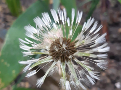 Новая неделя в Анапе начнется с тёплой погоды