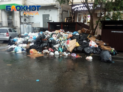 За свалку ответишь: мусорные завалы возле дома в Анапе будут ликвидировать местные власти