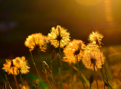 9 июня, в воскресенье, в Анапе довольно жарко 