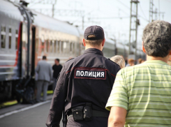 Омич устроил пьяный дебош в поезде Красноярск-Анапа и оскорбил полицейского