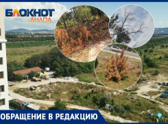 Вдоль Анапского шоссе много сухих деревьев и залежи мусора - анапчанка о проблемах благоустройства