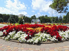 А знаете, почему в Анапу приезжают так много людей? Откроем вам секрет!