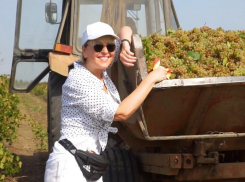 К анапским магазинам по продаже вина Анжелики Варум добавились точки в семи регионах РФ