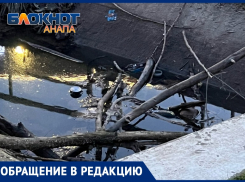 «Тина и канализация – запах Анапы»: анапчанка просит вычистить ливневку