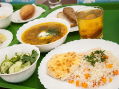 Анапских школьников хотят полностью обеспечить здоровым горячим питанием