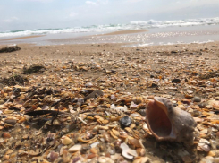 Сегодня, 17 мая - день рождения интернета и ещё 11 праздников. Погода - улётная!