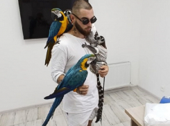 В Анапе задержали очередного фотоживодера – с попугаями и лемуром