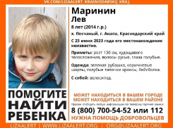 В Анапе разыскивают 8-летнего Льва Маринина