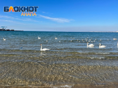 Запахло весной: в Анапе вновь тепло и солнечно