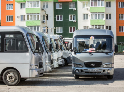 В Анапе могут создать единый инфочат для водителей автобусов 