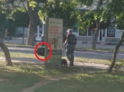 ﻿В центре Анапы кинологи «обезвредили» подозрительную сумку