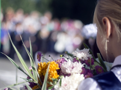 Школы Анапы начнут принимать документы в первые классы с 1 февраля