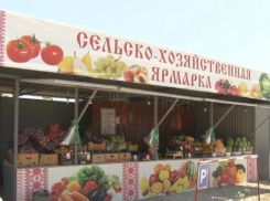 С 3 июля торговать на фермерских двориках в Анапе будут только производители
