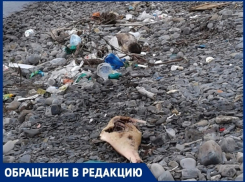 В Анапе субботники прошли, а кое-где мусор остался!