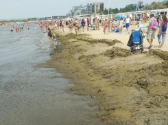 Мы нос воротим от камки, а в 19-м веке в Анапу специально приезжали ради нее