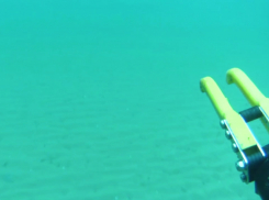 Водолазы собрали более 400 тонн мазута в Анапе 