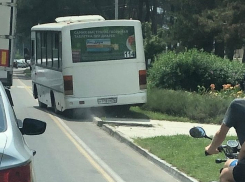 Водитель маршрутки №114 объезжал пробку прямо по газонам в Анапе