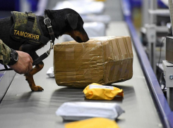 Что анапчанам нельзя везти домой из-за рубежа