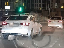 В Анапе из иномарки на ходу на вытянутой руке держали кошку из окна автомобиля