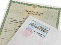 «Процедура не является обязательной»: ОМВД Анапы об оформлении гражданства