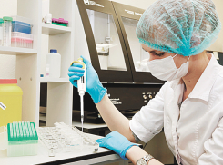 В крае 90 новых случаев коронавируса, в Анапе 1. Сводка на 11 августа