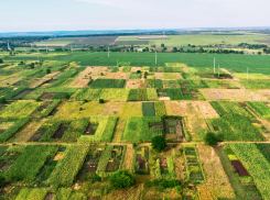 Многодетные семьи Кубани оформили в собственность свыше 18 тысяч земельных участков