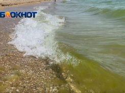Неприятный морской сюрприз: на пляже Анапы позеленела вода