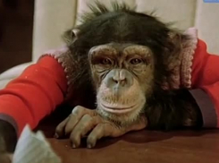 Какое кино смотрели анапчане 30 лет назад, в сентябре 1991 года?