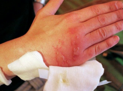 На тропах Утриша под Анапой стало очень опасно