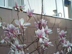 Гороскоп для анапчан с 3 по 9 октября: Скорпионы могут рассчитывать на поддержку влиятельных людей