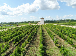 День открытых дверей проведёт «Винная деревня» под Анапой