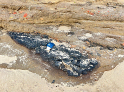 Волонтеры бьют тревогу: обнаружен апокалипсис у озера Солёное в Краснодарском крае