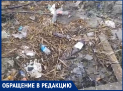 На фоне прекрасных лебедей – трущобы: анапчане о сложившейся ситуации на реке Анапке