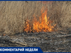 Сжигать или выбрасывать: что делать с сухой травой в Анапе