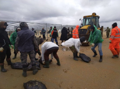 МЧС России: в Краснодарском крае очищено порядка 40 километров береговой линии