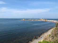 В день лазанья по деревьям в Анапе малооблачно и жарко