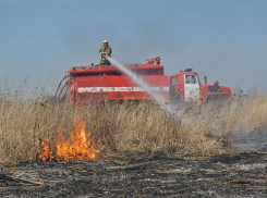 В Анапе в 5 раз возросло число возгораний сухой травы