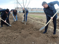 В Анапе прошла акция по высадке «семейных» деревьев