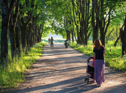 Стало известно, кто в Супсехе обустроит «Сквер 80-летия Краснодарского края»