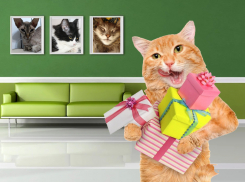 В конкурсе "Самый красивый кот Анапы" крутых призов будет много!